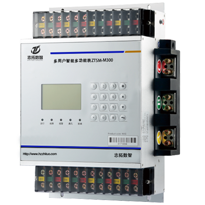 多用户多功能表ZTSM-M300-8s
